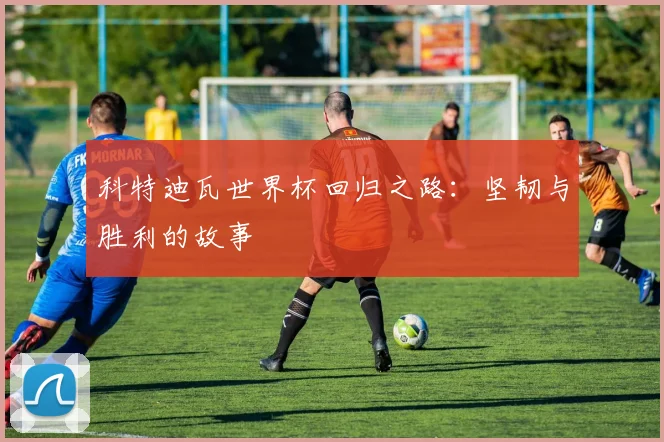 科特迪瓦世界杯回归之路：坚韧与胜利的故事