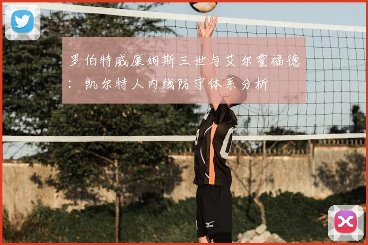罗伯特威廉姆斯三世与艾尔霍福德：凯尔特人内线防守体系分析