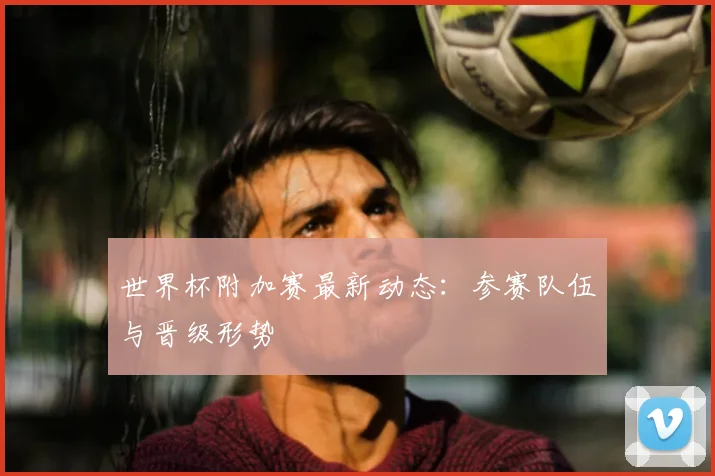 世界杯附加赛最新动态:参赛队伍与晋级形势